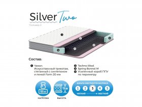 Матрас Silver Two в Новопичугово - novopichugovo.mebel-nsk.ru | фото